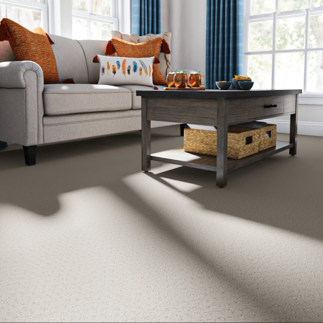 STAINMASTER PetProtect 7L899 - 152 - SAMP Carpet-Samples - View #2