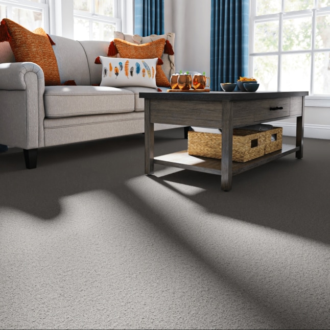 STAINMASTER 7L879 - 540 - SAMP Carpet-Samples - View #2