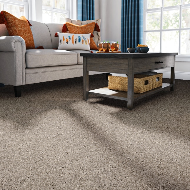 STAINMASTER PetProtect S9145-727-1200-MO Carpet-Panel - View #2