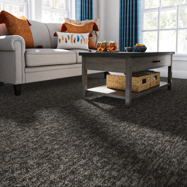 STAINMASTER LU760-W4100-1200-AB Carpet-Panel - View #2