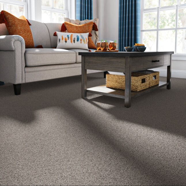 STAINMASTER 7L85600126 Carpet-Panel - View #2