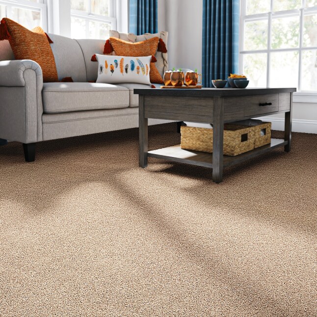 STAINMASTER PetProtect 7L88100700 Carpet-Panel - View #2