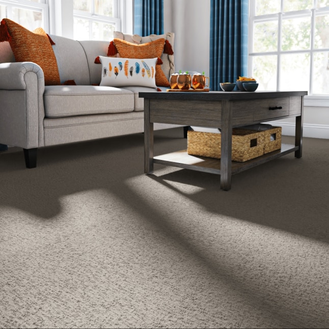 STAINMASTER S9436-859-1200-MO Carpet-Panel - View #2