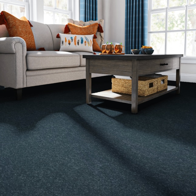 STAINMASTER 7L86200402 Carpet-Panel - View #2