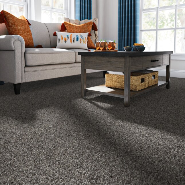 STAINMASTER LU485-W3201-1200-AB Carpet-Panel - View #2
