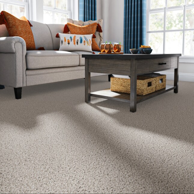 Style Selections CCV05-12-L020 Carpet-Panel - View #2