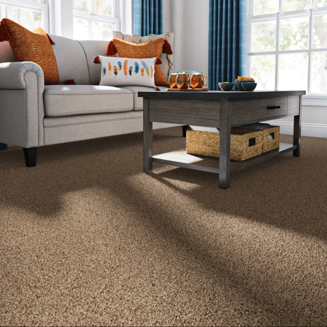 STAINMASTER STP44-12-L008 Carpet-Panel - View #2