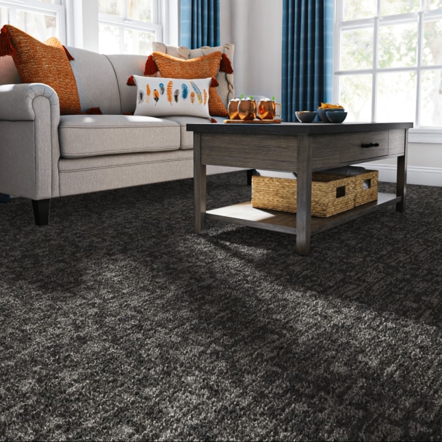 STAINMASTER LU760-9513E Carpet-Samples - View #2