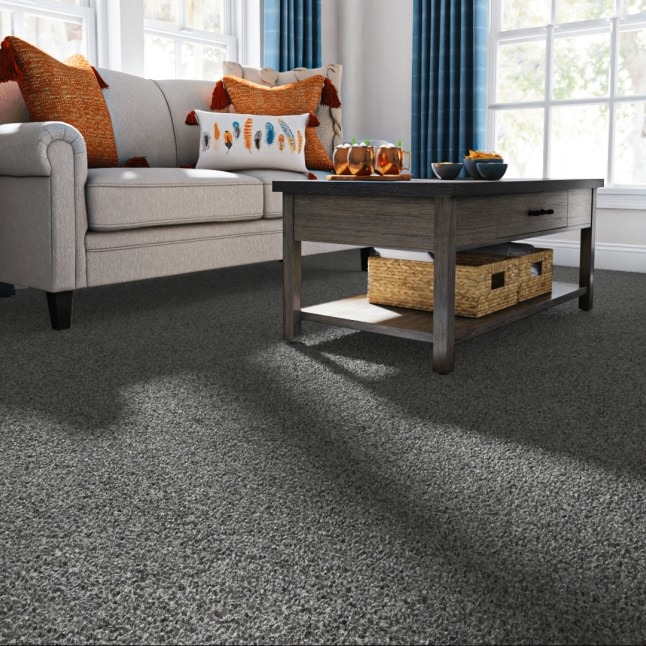 Style Selections CCV05-L009-0808 Carpet-Samples - View #2