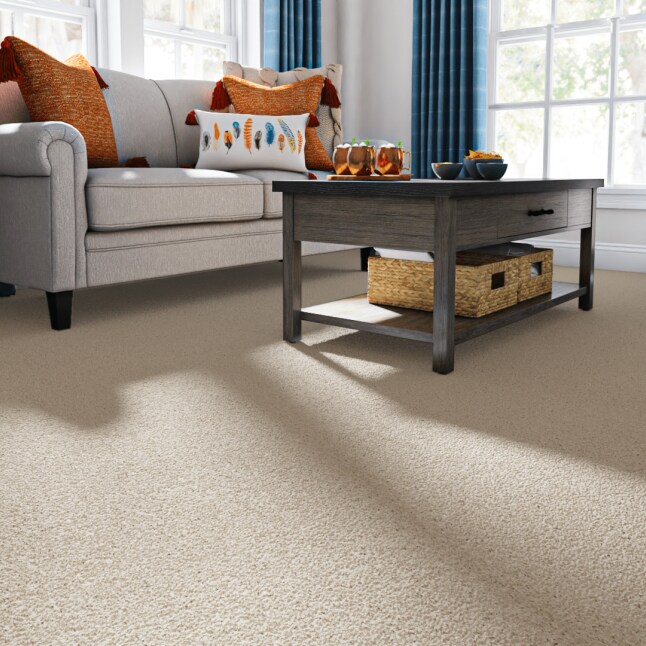 Style Selections 7L91500122 Carpet-Panel - View #2