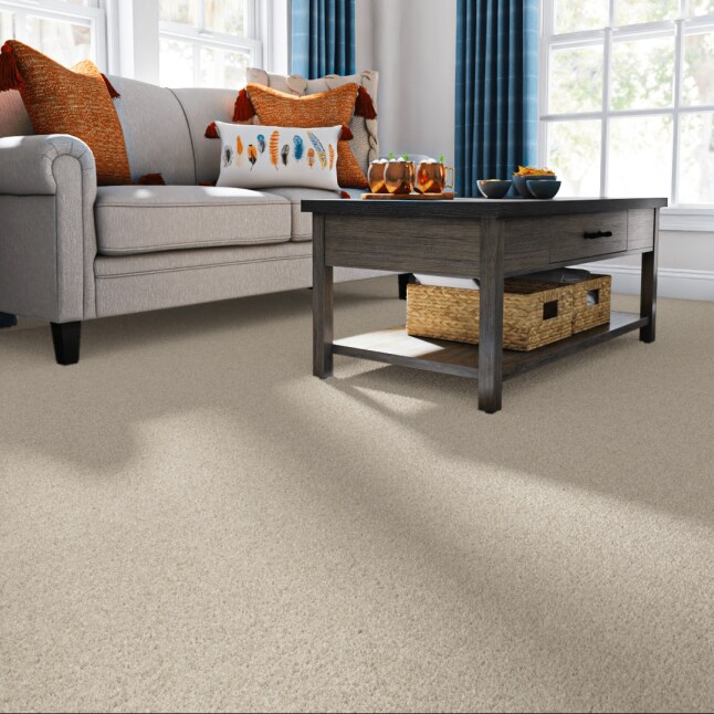 STAINMASTER (Sample) Blue Diamonds III Bleached Off-white 73.1-oz sq yard Polyester Textured Indoor Carpet