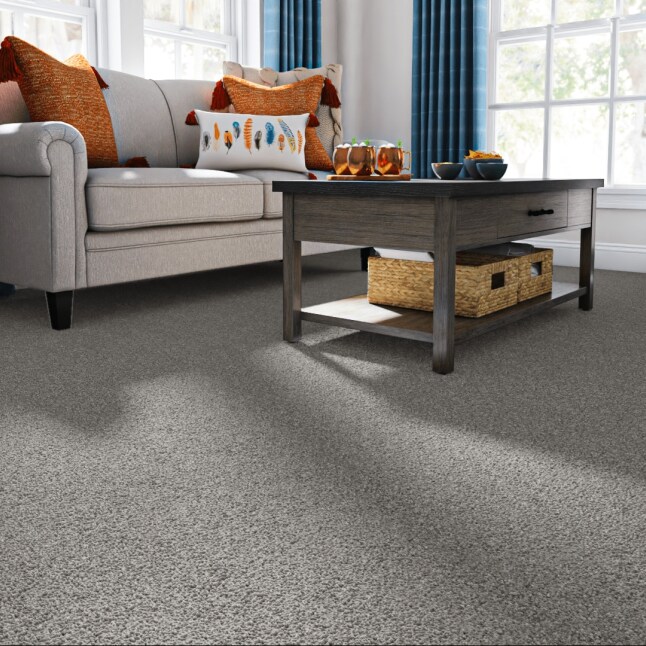 STAINMASTER 7L867 - 501 - SAMP Carpet-Samples - View #2