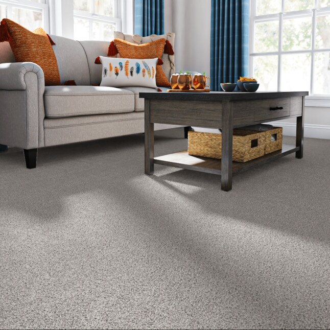 STAINMASTER 7L856 - 533 - SAMP Carpet-Samples - View #2