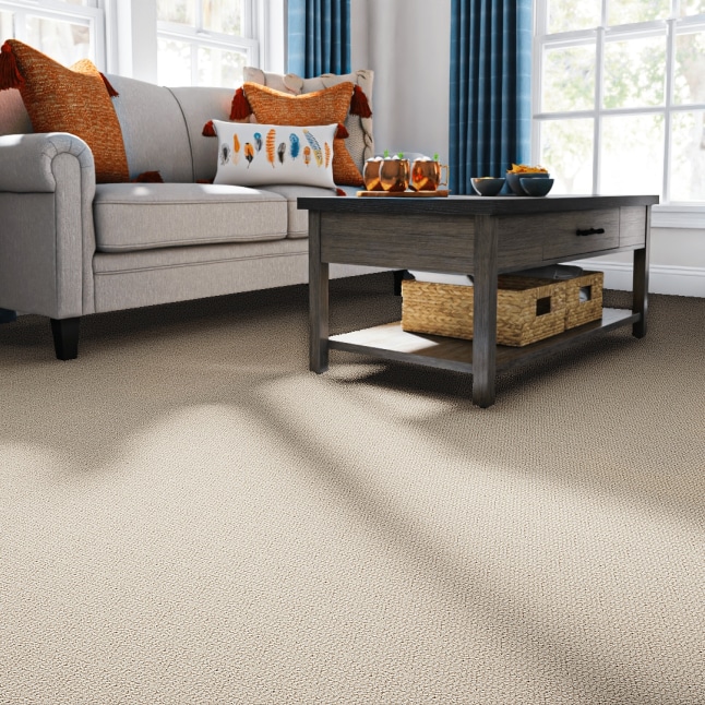  LU840- 9513B Carpet-Samples - View #2