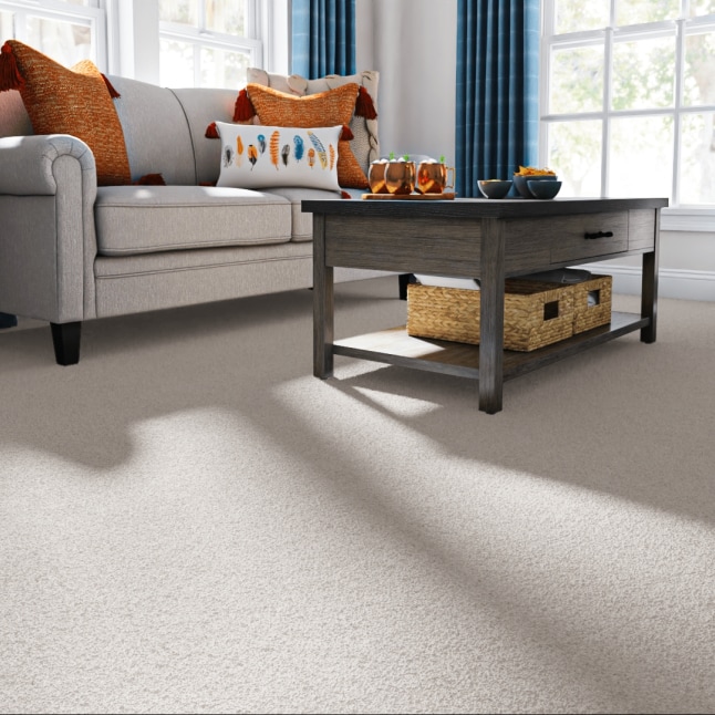STAINMASTER PetProtect 7L88100102 Carpet-Panel - View #2