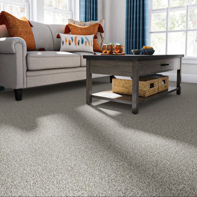 STAINMASTER STP51-15-L006 Carpet-Panel - View #2