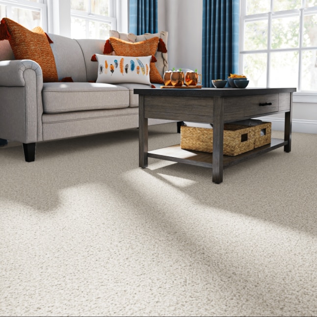 STAINMASTER S9150-122-S Carpet-Samples - View #2