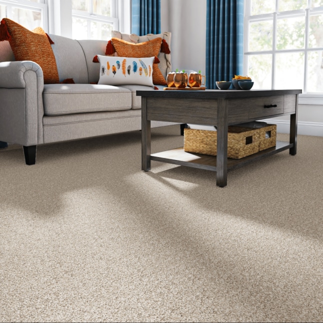 STAINMASTER PetProtect 7L85900712 Carpet-Panel - View #2