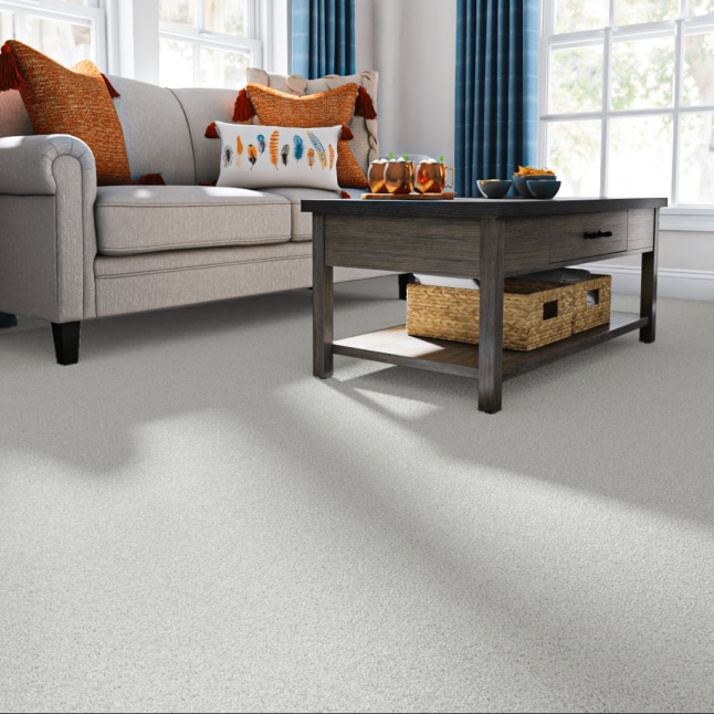 STAINMASTER 7L87000102 Carpet-Panel - View #2