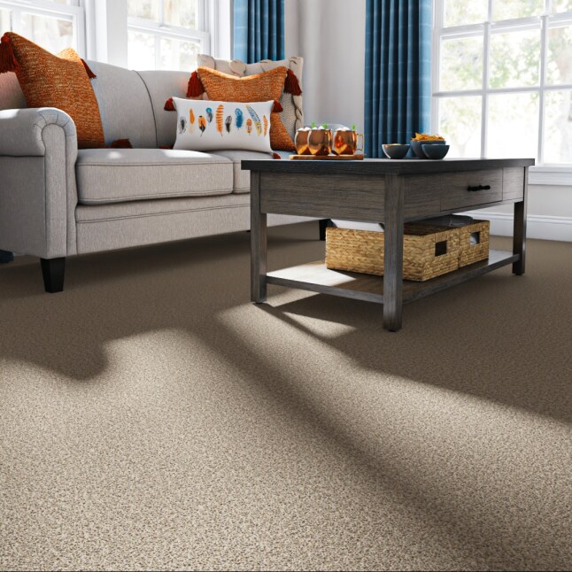 STAINMASTER PetProtect S9044-721-S Carpet-Samples - View #2