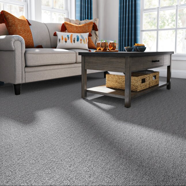  LC51-12-L002 Carpet-Panel - View #2