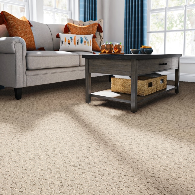 STAINMASTER STP63-L004-0808 Carpet-Samples - View #2