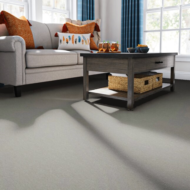 STAINMASTER 7L86200150 Carpet-Panel - View #2