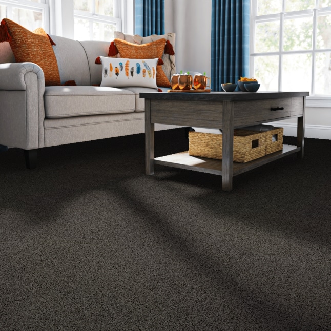 STAINMASTER 7L79300726 Carpet-Panel - View #2