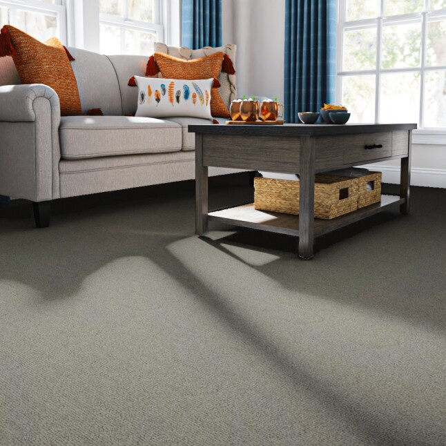 STAINMASTER S9046 -923-S Carpet-Samples - View #2