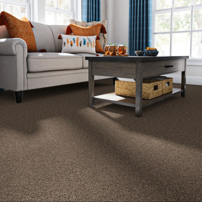 STAINMASTER LB033-12-L004 Carpet-Panel - View #2