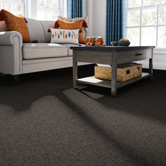  LC42-12-965 Carpet-Panel - View #2