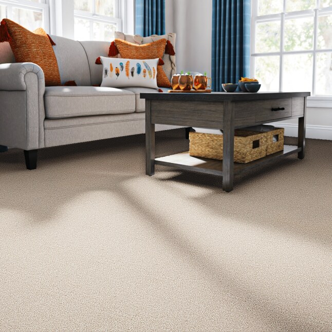 STAINMASTER S9753-711-S Carpet-Samples - View #2