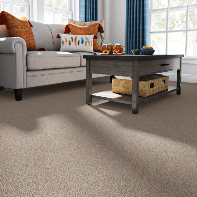 STAINMASTER PetProtect STP56-12-L020 Carpet-Panel - View #2