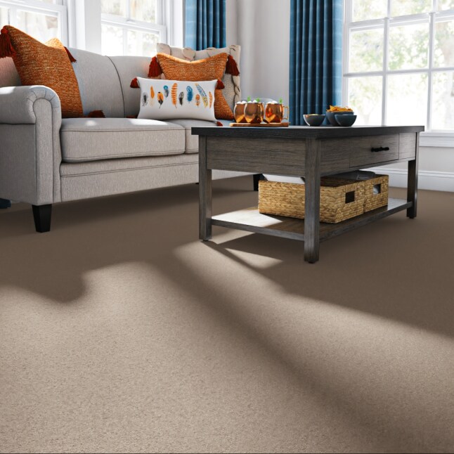 Style Selections 7L84600201 Carpet-Panel - View #2