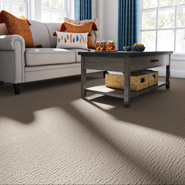 STAINMASTER STP60-L013-0808 Carpet-Samples - View #2