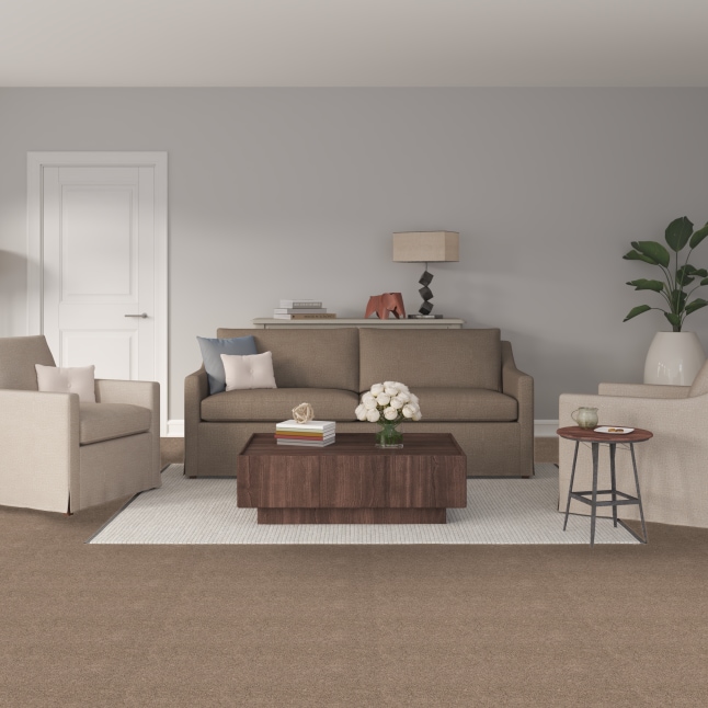 STAINMASTER S7259-102-S Carpet-Samples - View #2