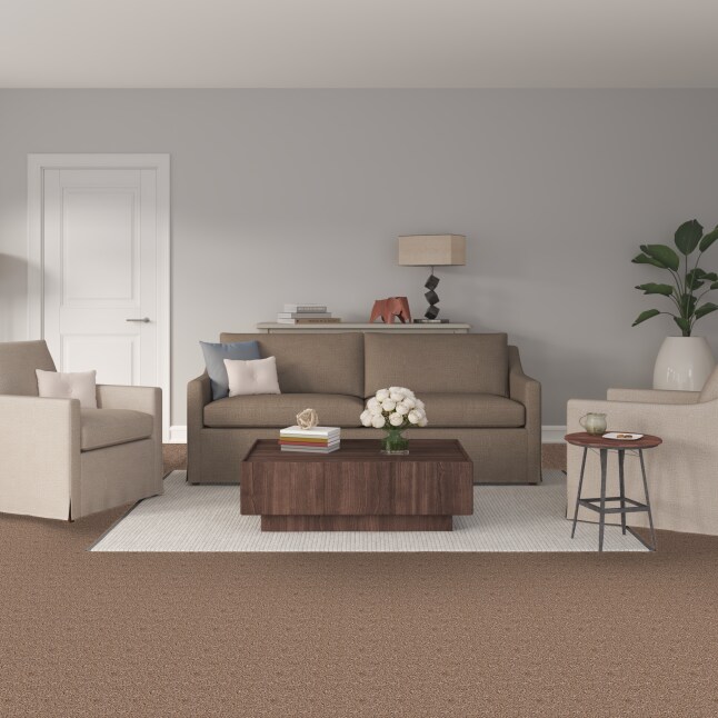 STAINMASTER S7259-104-1200-AB Carpet-Panel - View #2