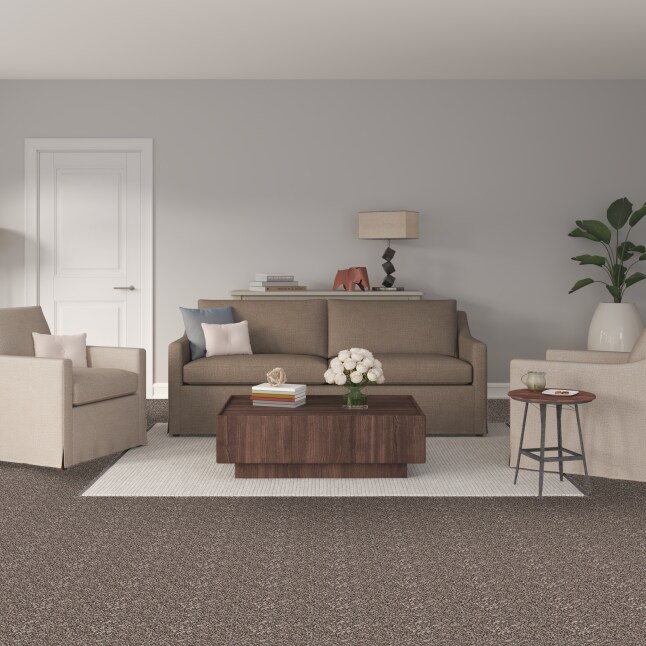 STAINMASTER S7243-110-S Carpet-Samples - View #2