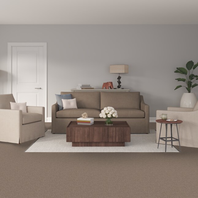 STAINMASTER STP22-12-L012 Carpet-Panel - View #2