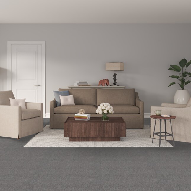 STAINMASTER PetProtect STP24-12-L012 Carpet-Panel - View #2