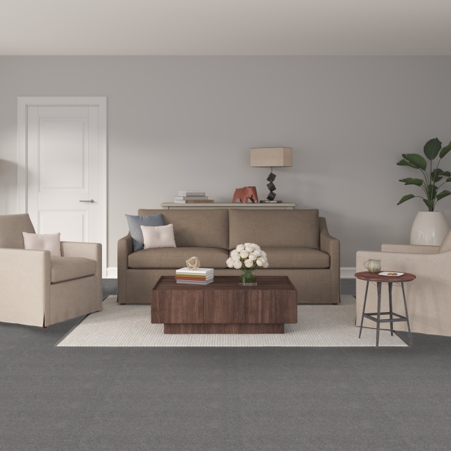 STAINMASTER PetProtect STP25-12-L012 Carpet-Panel - View #2