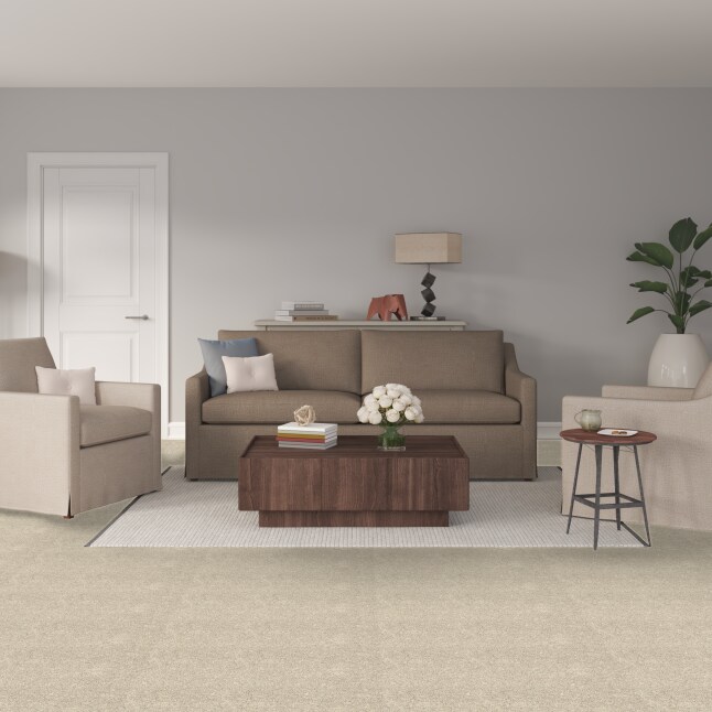 STAINMASTER 7L793-107-SAMP Carpet-Samples - View #2