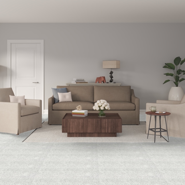 STAINMASTER 7L793-120-SAMP Carpet-Samples - View #2
