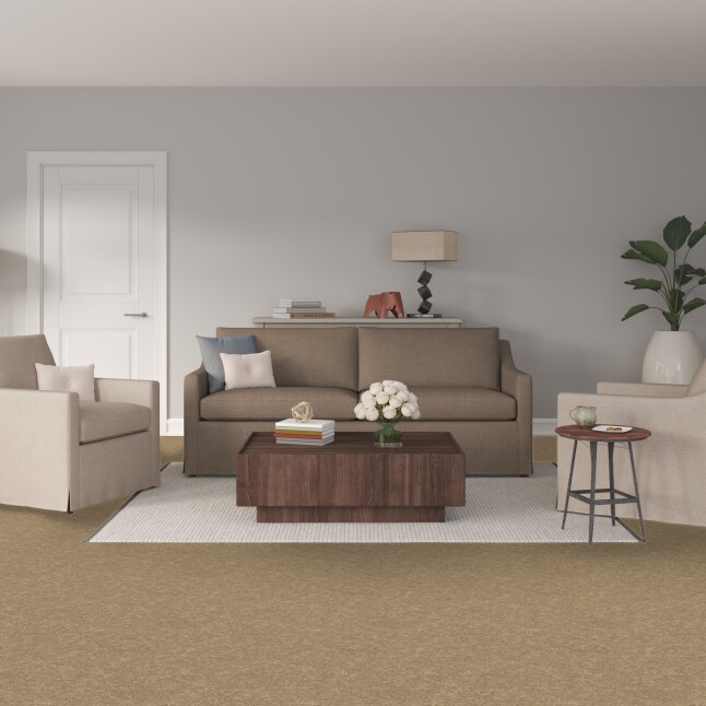 STAINMASTER STP38-15-L008 Carpet-Panel - View #2