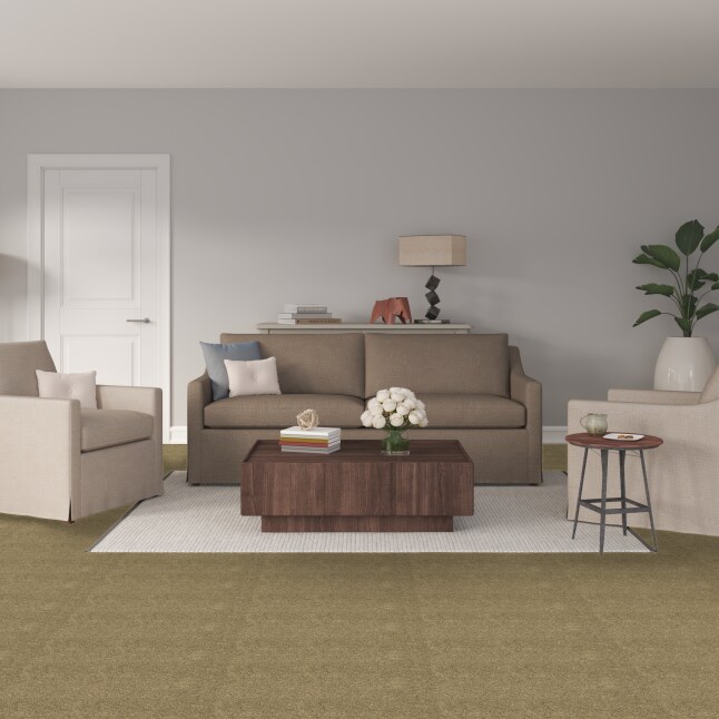 STAINMASTER 51340-102-1200-AB Carpet-Panel - View #2