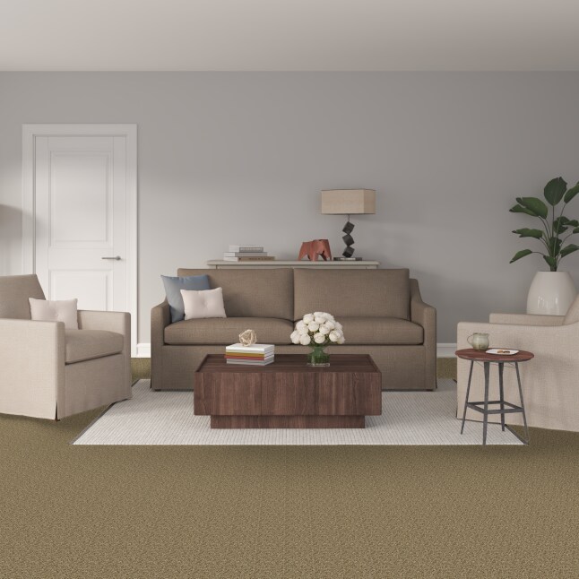 STAINMASTER 51340-104-1200-AB Carpet-Panel - View #2