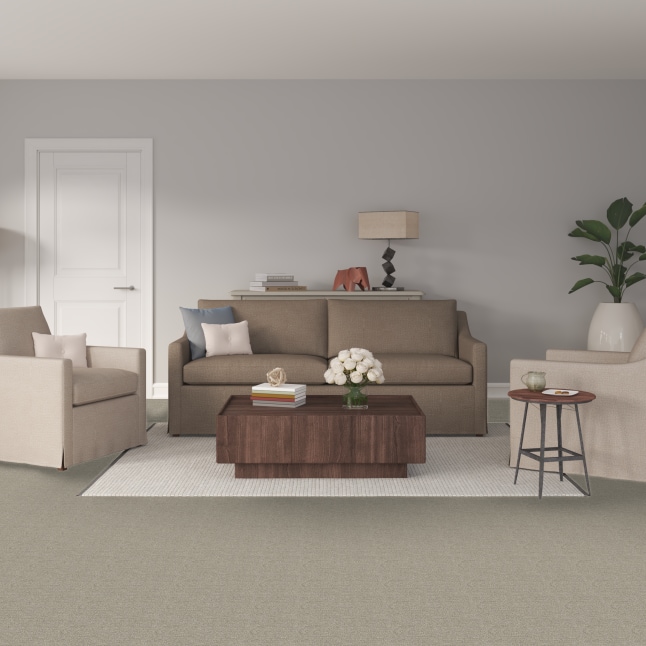 STAINMASTER S9046 -923-S Carpet-Samples - View #2