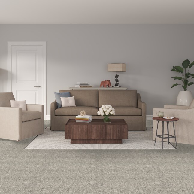 STAINMASTER PetProtect SS009-L003-0808 Carpet-Samples - View #2