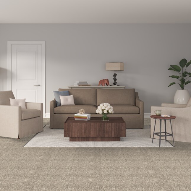 STAINMASTER S9275-728-S Carpet-Samples - View #2