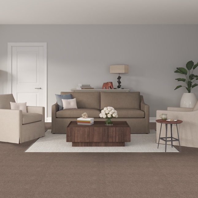 STAINMASTER S8754-828-1200-MO Carpet-Panel - View #2